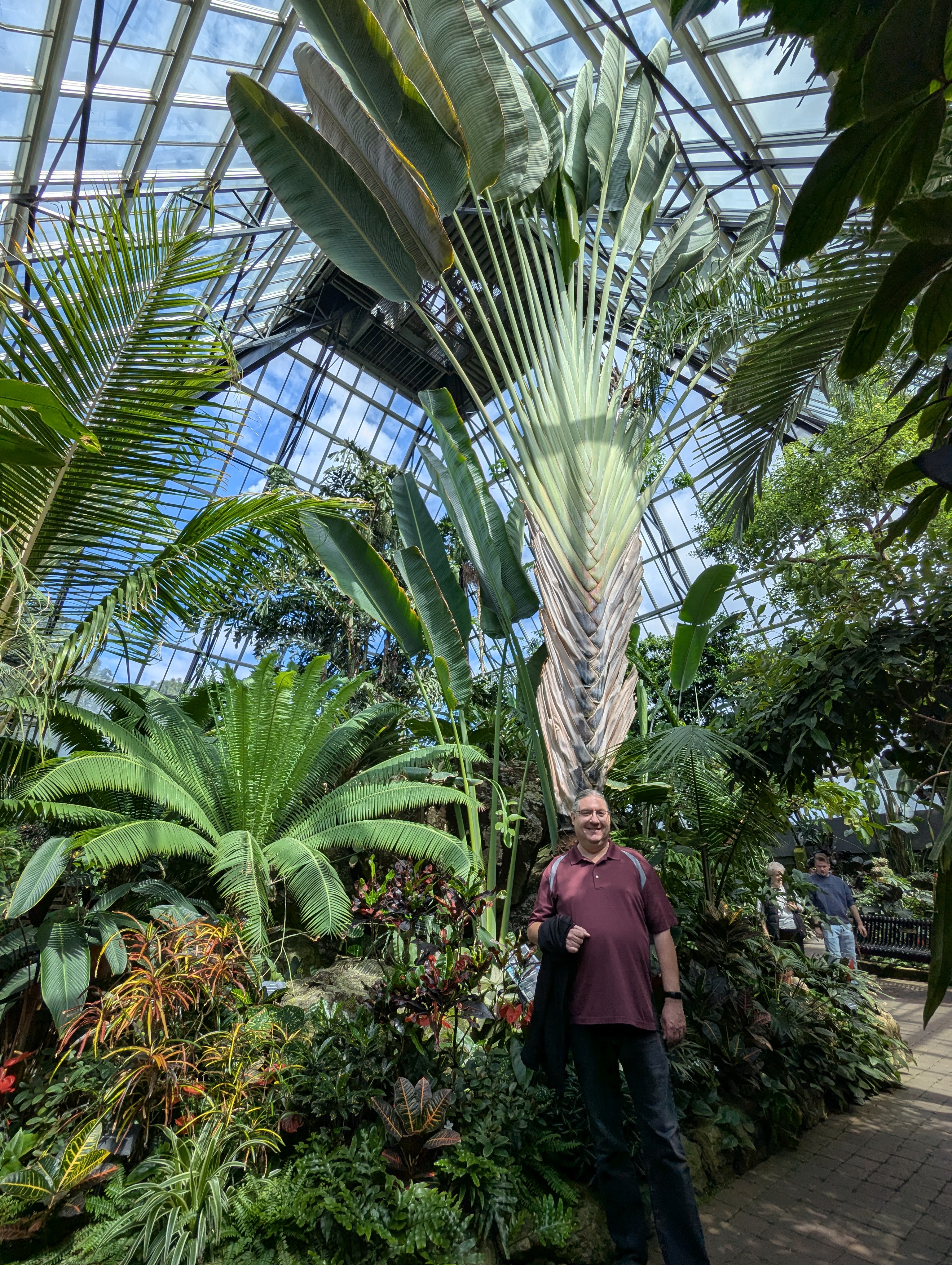 Birthday Trip to Canada, Edmonton, Pyramids, Muttart Observatory, Michael Sanders